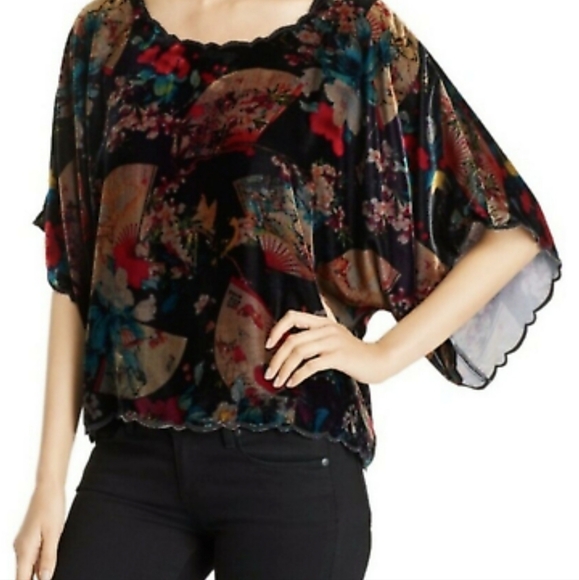JOHNNY WAS Jolie Silk Blend Velvet Fan Print Top RARE - Picture 1 of 10
